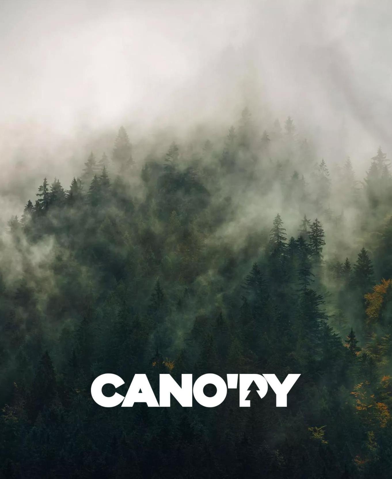 Cano'py, 2 Pieces Avec Vue Montagne En Coeur De Apartment